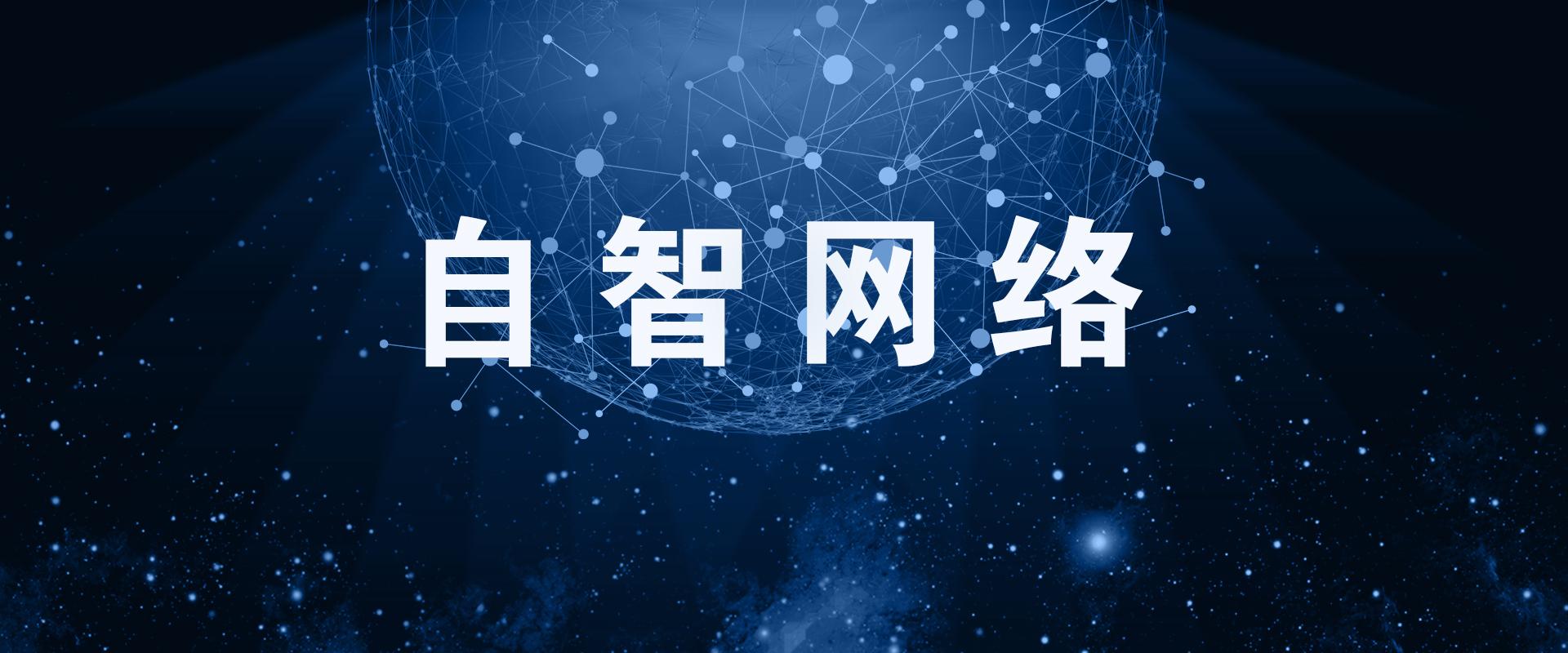 自智网络&mdash;&mdash;网络的数智化转型